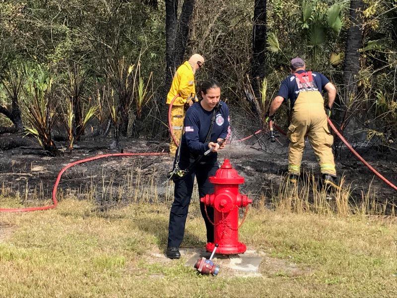 Gatlin Brush Fire